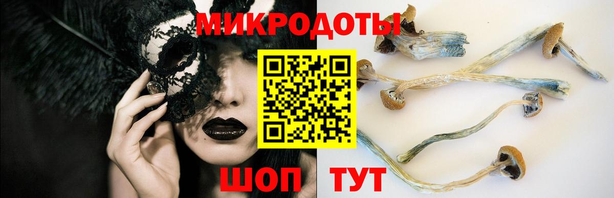 как найти закладки  Псилоцибиновые грибы мицелий  Вход с VPN  Псилоцибиновые грибы MAGIC MUSHROOMS  Тутаев 